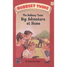 Cover of Big Adventure at Home