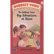 Book cover for Big Adventure at Home