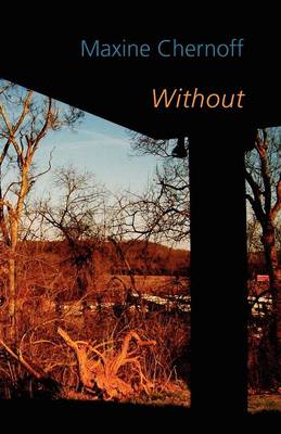 Book cover for Without