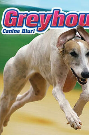 Cover of Greyhound