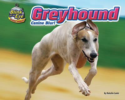 Cover of Greyhound