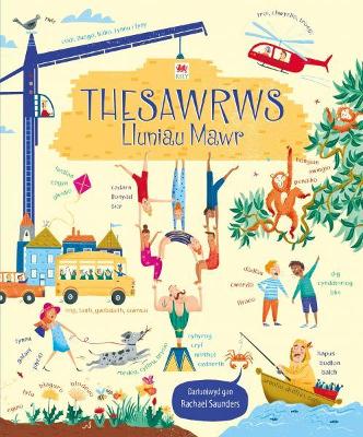 Book cover for Thesawrws Lluniau Mawr