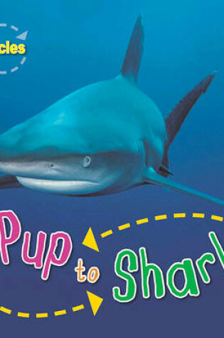 Cover of Lifecycles: Pup to Shark