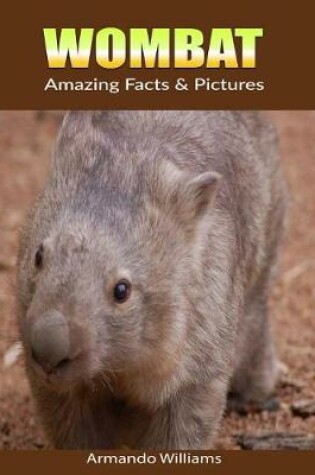 Cover of Wombat