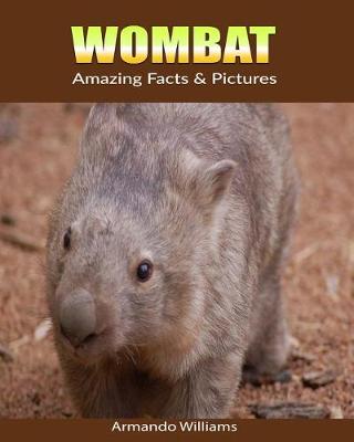 Book cover for Wombat