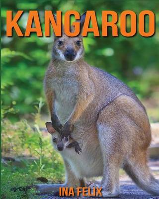 Book cover for Kangaroo