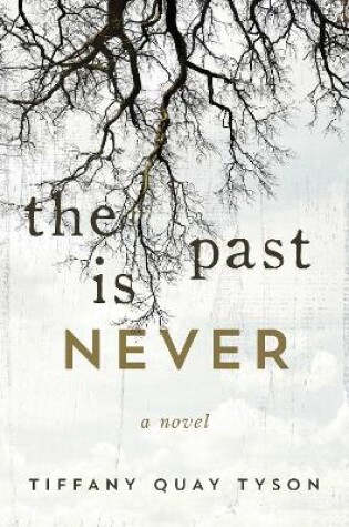 Cover of The Past Is Never
