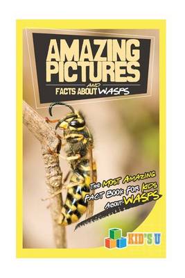 Book cover for Amazing Pictures and Facts about Wasps