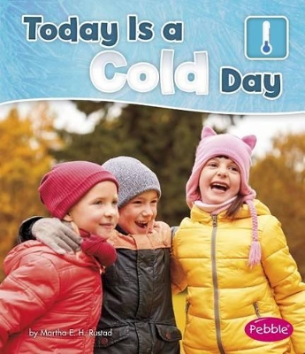Book cover for Today is a Cold Day (What is the Weather Today?)