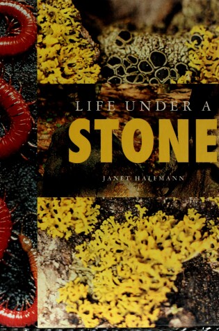 Cover of Life Under a Stone