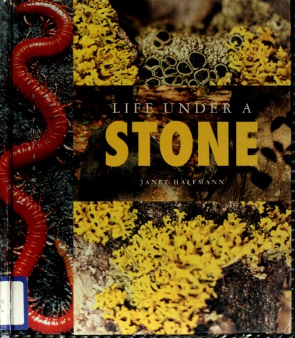 Cover of Life Under a Stone