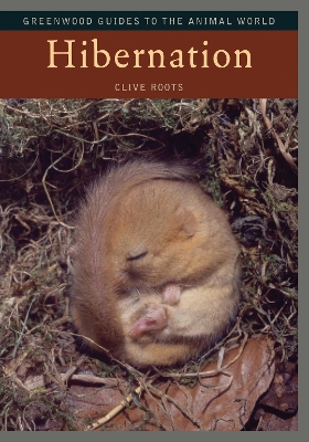 Book cover for Hibernation