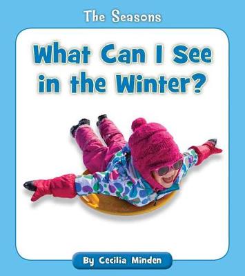 Book cover for What Can I See in the Winter?
