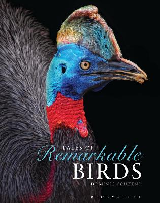 Book cover for Tales of Remarkable Birds