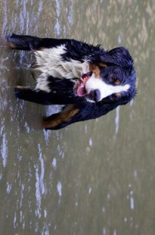 Cover of Bernese Mountain Dog Playing in the Water Journal