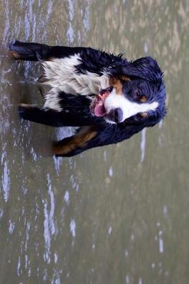 Book cover for Bernese Mountain Dog Playing in the Water Journal