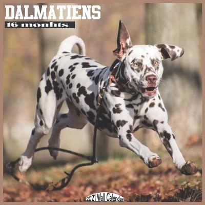 Book cover for Dalmatiens 2021 Wall Calendar