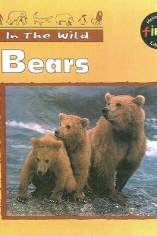 Cover of Bears