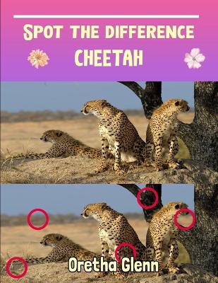 Book cover for Spot the difference Cheetah