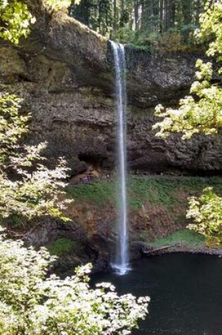 Cover of Website Password Organizer Silver Creek Falls in Oregon