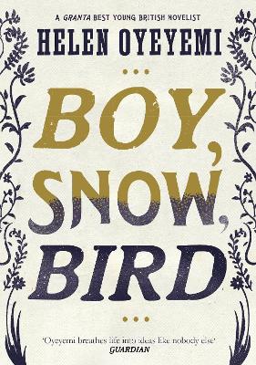 Book cover for Boy, Snow, Bird