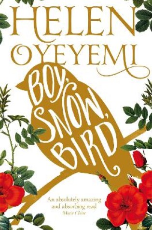Cover of Boy, Snow, Bird