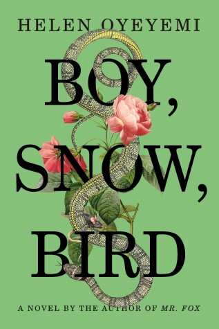 Book cover for Boy, Snow, Bird