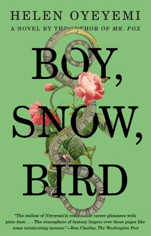 Book cover for Boy, Snow, Bird