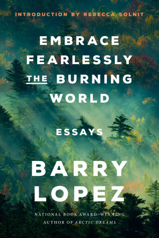 Book cover for Embrace Fearlessly the Burning World