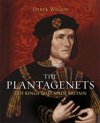 Book cover for The Plantagenets