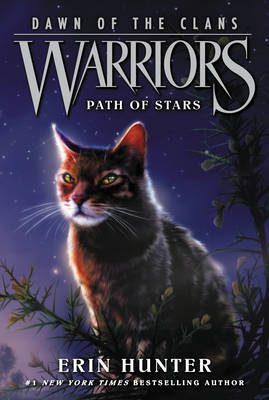 Book cover for Path of Stars