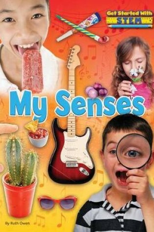 Cover of My Senses