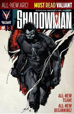 Book cover for Shadowman (2012) Issue 13