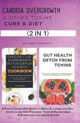 Book cover for Candida Overgrowth & Other Toxins Cure & Diet