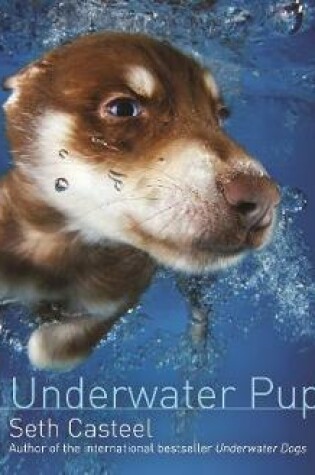 Cover of Underwater Puppies