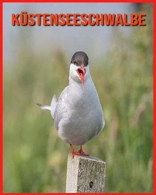 Book cover for Küstenseeschwalbe