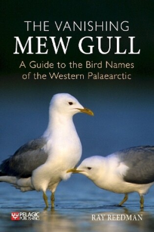 Cover of The Vanishing Mew Gull