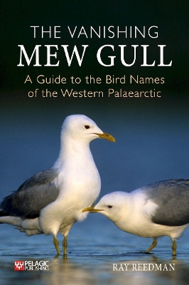 Book cover for The Vanishing Mew Gull