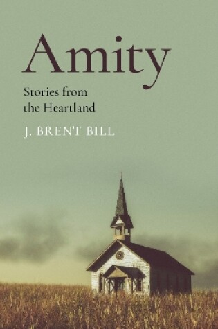 Cover of Amity