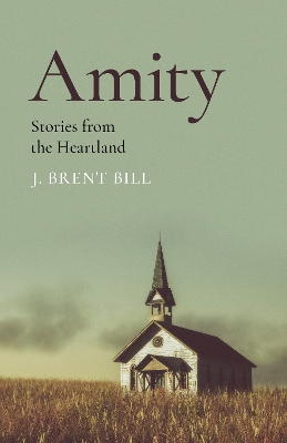 Book cover for Amity