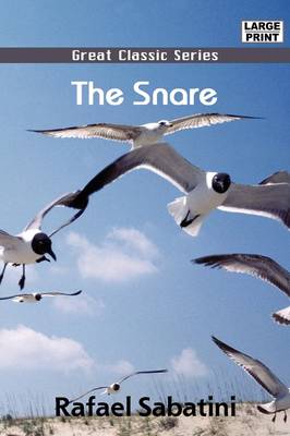 Book cover for The Snare