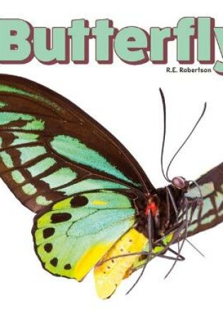 Cover of Butterfly