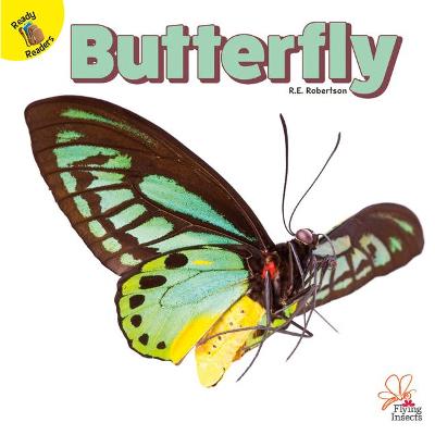 Book cover for Butterfly