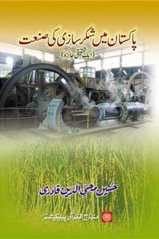 Cover of Pakistan Mein Shaker Sazi Ki Senat