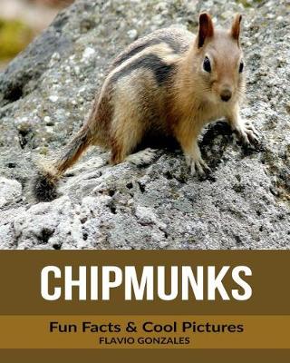 Book cover for Chipmunks