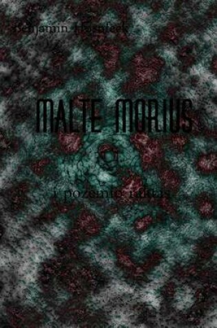 Cover of Malte Morius I Pozemio Raktas