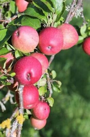 Cover of Notebook The Apple Orchard Ready to Pick