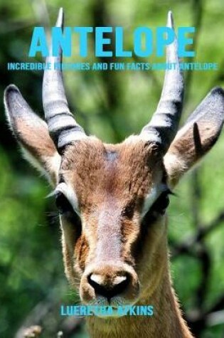 Cover of Antelope