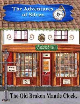 Book cover for The Adventures of Silver.