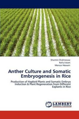 Cover of Anther Culture and Somatic Embryogenesis in Rice